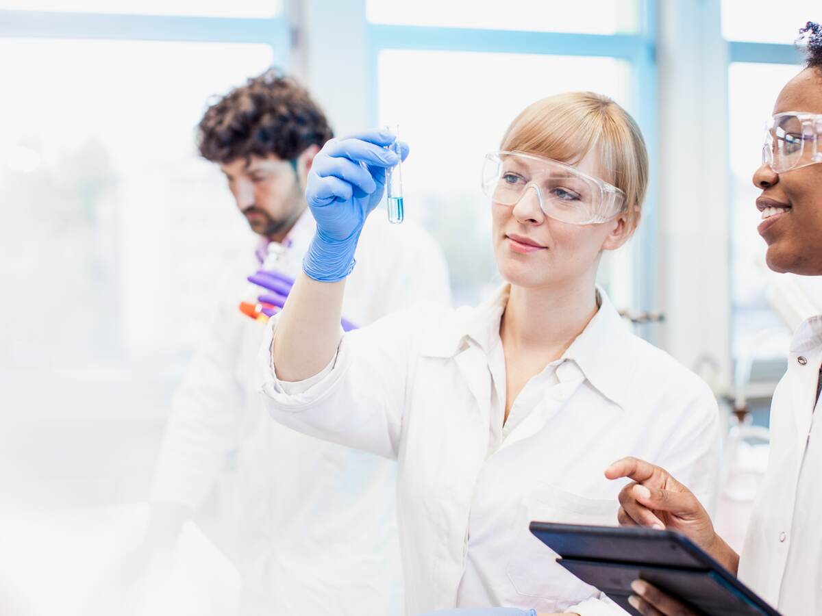 Scientists working in the laboratory.